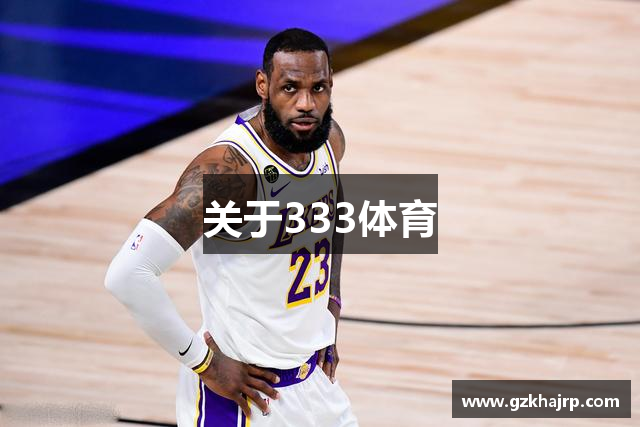 关于333体育
